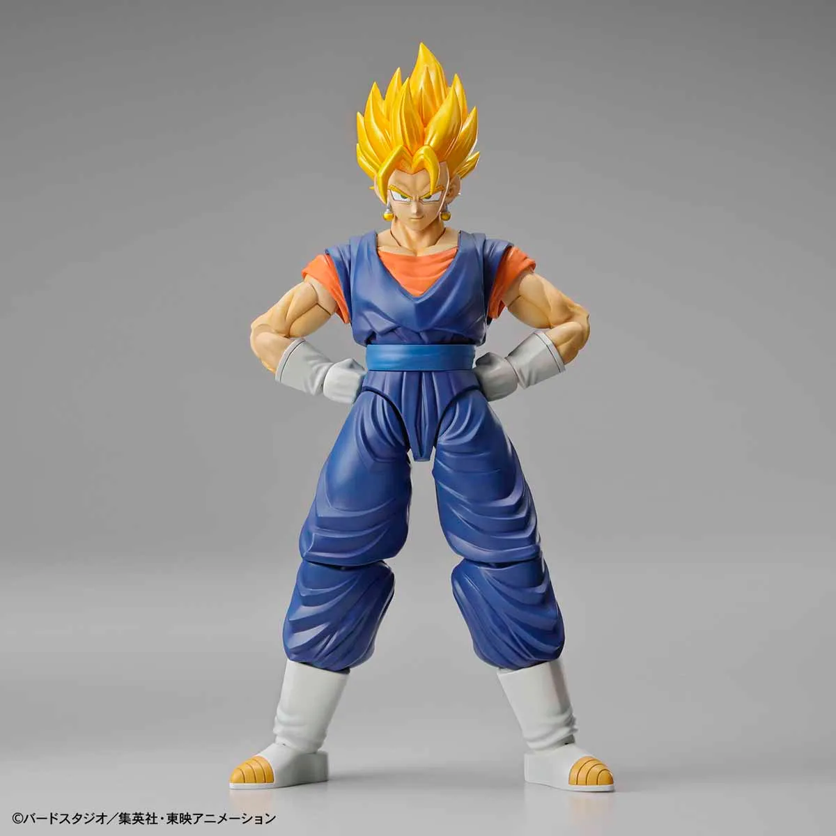Figure-rise Standard Super Saiyan Vegetto (package renewal)